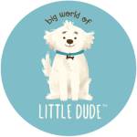 Big World of Little Dude profile picture