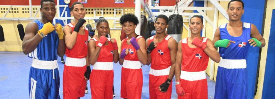 Federación Dominicana de Boxeo Cover Image